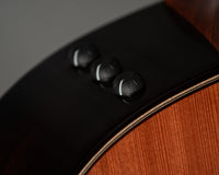 Taylor 50th Anniversary Builder's Edition 814ce LTD #1210174086