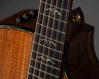 Taylor 50th Anniversary Builder's Edition 924ce-K LTD #1206254106 w/ matching Circa 74 amplifier