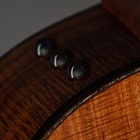 Taylor 50th Anniversary Builder's Edition 924ce-K LTD #1206254106 w/ matching Circa 74 amplifier