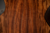 Taylor 50th Anniversary Builder's Edition 924ce-K LTD #1206254106 w/ matching Circa 74 amplifier