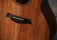 Taylor 50th Anniversary Builder's Edition 924ce-K LTD #1206254106 w/ matching Circa 74 amplifier
