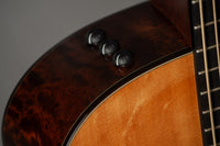 Taylor 516e Baritone Ltd 6 String USED #1102246081