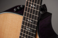 Taylor 614ce Custom Select Trans Purple #1210155084