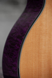 Taylor 614ce Custom Select Trans Purple #1210155084