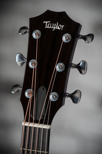 Taylor 614ce Custom Select Trans Purple #1210155084