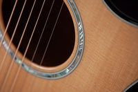 Taylor 614ce Custom Select Trans Purple #1210155084