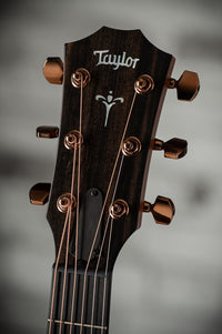 Taylor 724ce Hawaiian Koa #1203205066