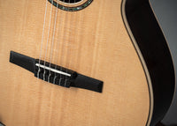Taylor 812ce-N #1205182099