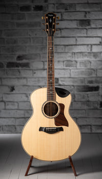 Taylor Builder's Edition 816ce V-Class