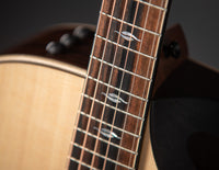 Taylor Builder's Edition 816ce V-Class
