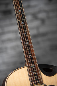 Taylor Builder's Edition 816ce V-Class