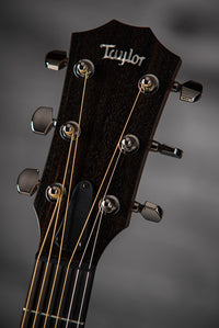 Taylor AD17 Blacktop