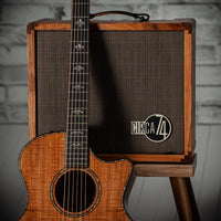 Taylor 50th Anniversary Builder's Edition 924ce-K LTD #1206254106 w/ matching Circa 74 amplifier