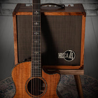 Taylor 50th Anniversary Builder's Edition 924ce-K LTD #1206254106 w/ matching Circa 74 amplifier