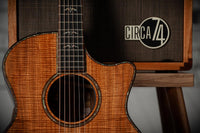 Taylor 50th Anniversary Builder's Edition 924ce-K LTD #1206254106 w/ matching Circa 74 amplifier