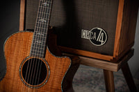 Taylor 50th Anniversary Builder's Edition 924ce-K LTD #1206254106 w/ matching Circa 74 amplifier