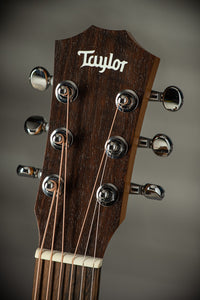 Taylor BT1 #2204264317