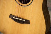 Taylor BT1 #2204264317