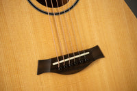 Taylor BT1 #2204264317