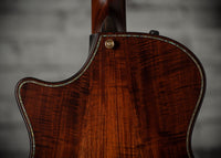 Taylor Builder's Edition K24ce SN 1206144045