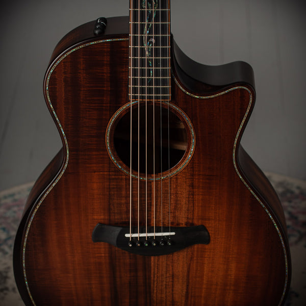Taylor Builder's Edition K24ce SN 1206144045