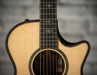 Taylor Builder's Edition 912ce SN#1209272092