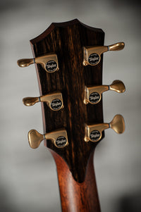 Taylor Custom Builder's Edition 914ce Macassar Ebony/Adirondack Top  #1208185084