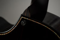 Taylor Custom Builder's Edition 914ce Macassar Ebony/Adirondack Top  #1208185084