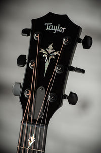 Taylor Custom GA Purple Supernova Colour Shift #1207105078