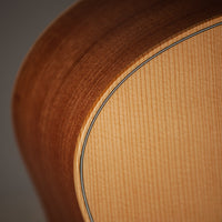 Taylor GS Mini Sapele #2205094203