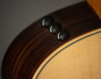 Taylor GS Mini-e Rosewood Plus SN 2208073363