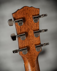 Taylor Gold Label 717e Gold Label #1204225018