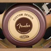 Fender '62 Deluxe Amp 120V