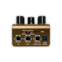 Strymon Olivera Vintage Oil Can Echo