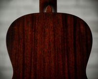 Waterloo WL-14 L Sunburst #WL3954