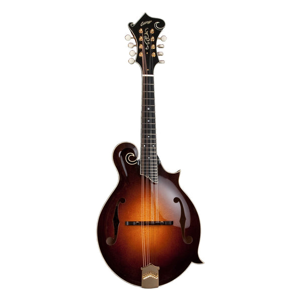 Collings MF5, Sunburst
