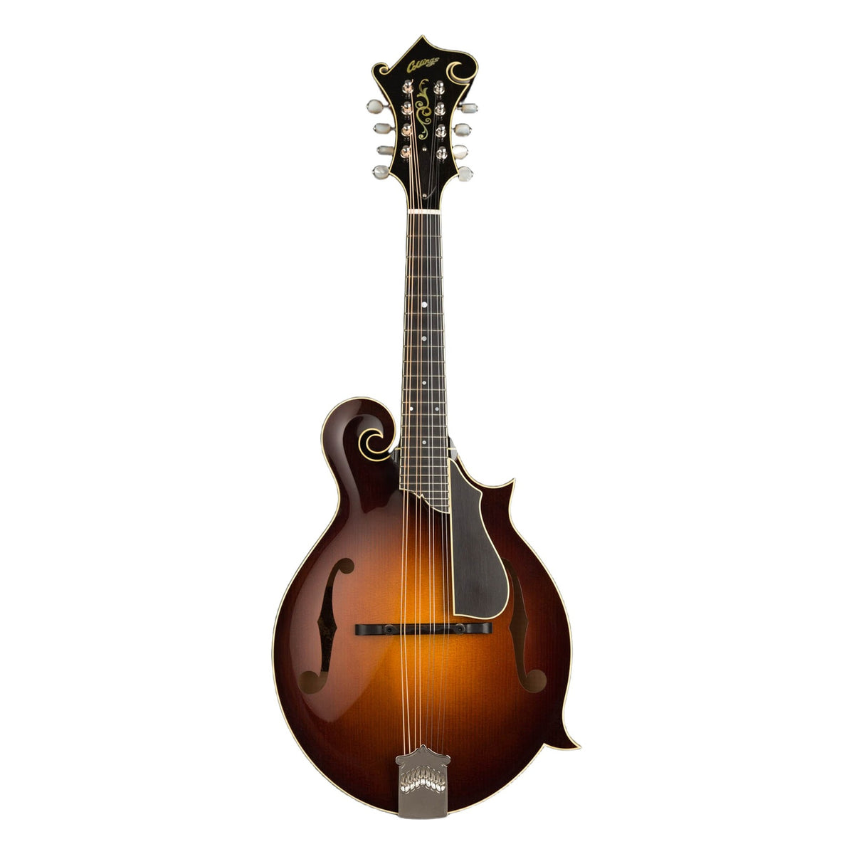 Collings MF5 V, Sunburst