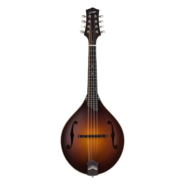 Collings MT, Sunburst