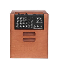 Acus One Forstrings 10 250w Ferdi Wood