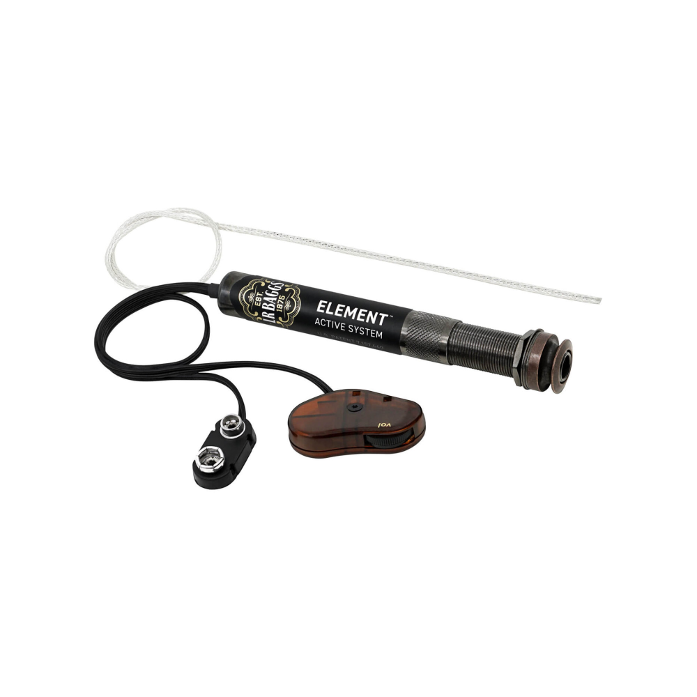 L.R. Baggs Element Active System Steel String