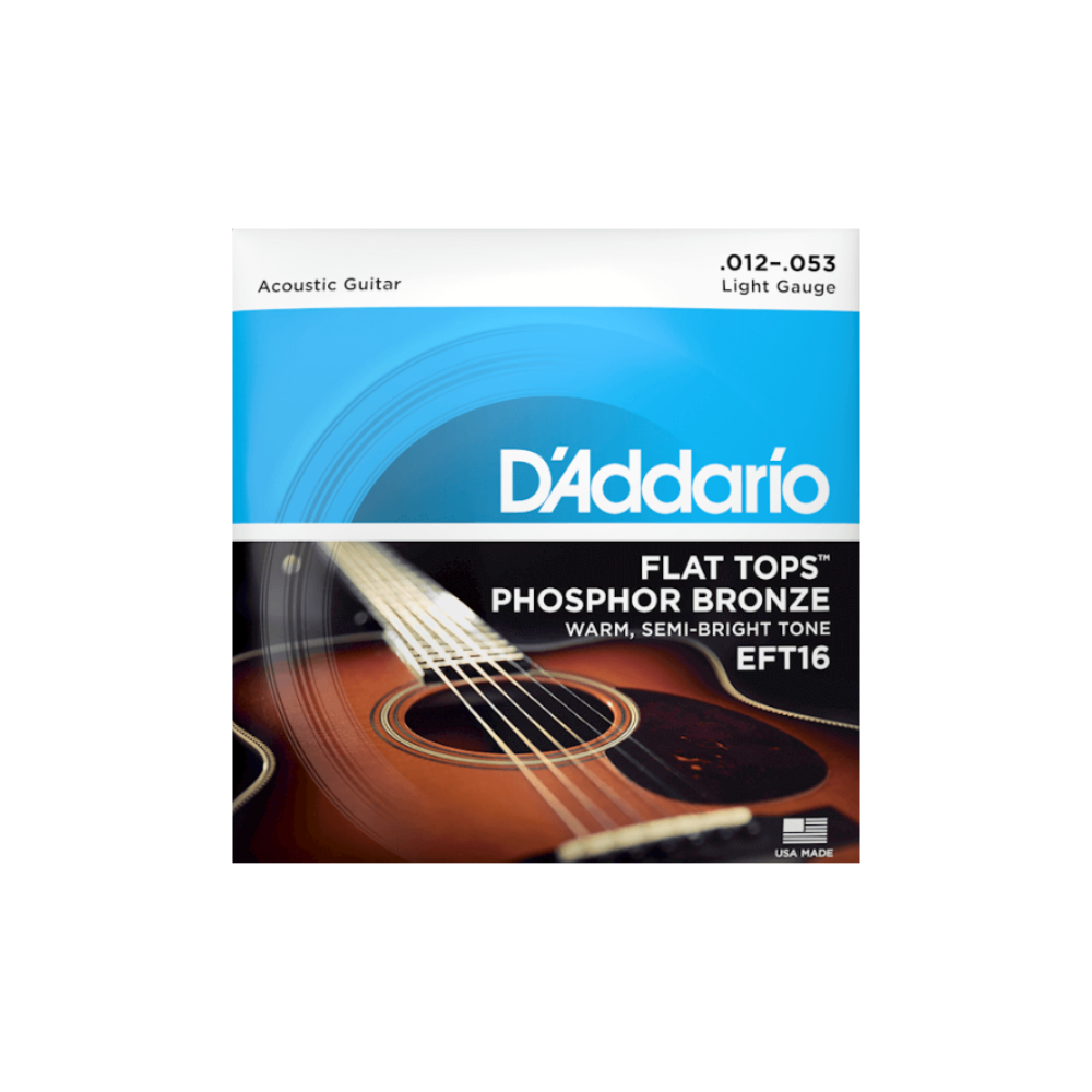 D'ADDARIO EFT16 SET ACOUSTIC GUITAR FLAT TOP PHOSPHOR BRONZE LITE
