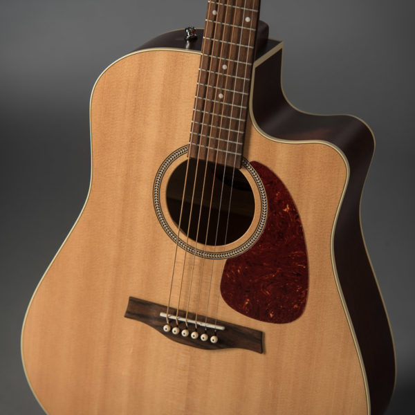 seagull guitars wiki